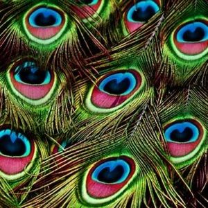 Meet your Posher, Nina marie